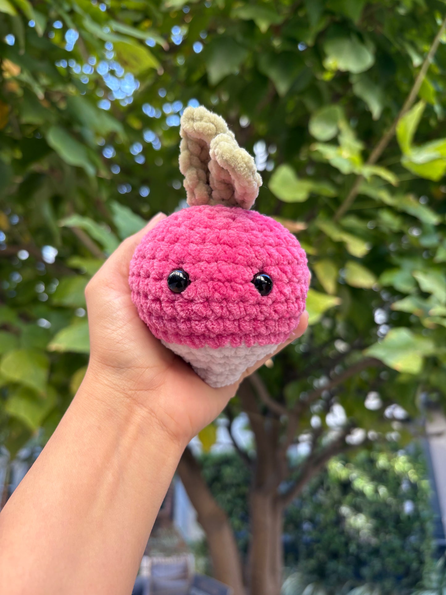 Radish