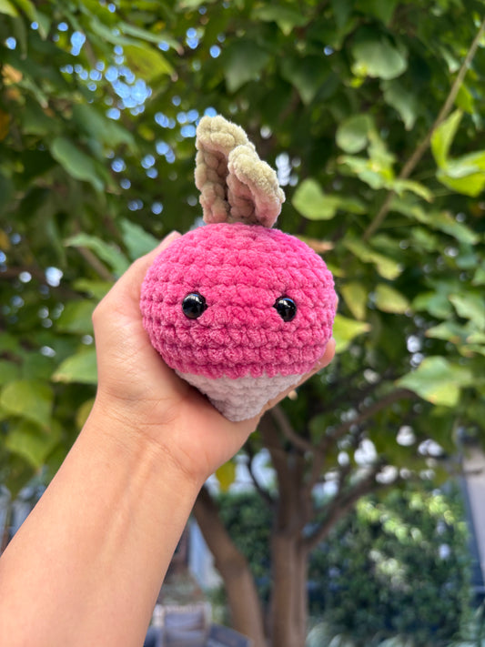 Radish
